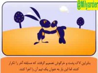 "لاکپشت و خرگوش"