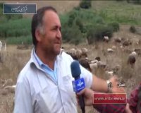 گلستان؛ نجات جنگل _هیرکانی_