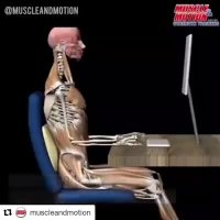 چند نوع نشستن صحیح پشت میز