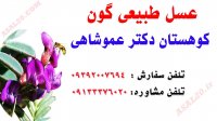 عسل گون ، عسل کوهستان ، عسل طبیعی و ارگانیک دکتر عموشاهی