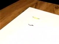 دانشکده آزمایشگاه پاستور اهواز- westerblooting- 1