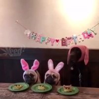 یک دو سه ، حمله ...