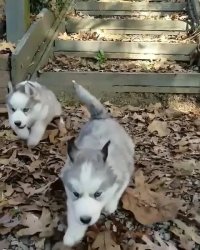 این پله ها آسون هیچ وقت آسون نمیشن