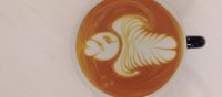 Latte Art with Elegance