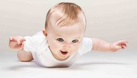 تکامل در خزیدن نوزادان