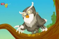 برنامه کودک بیشه مثل‌ ها - به مالت نناز که به یه شب بنده