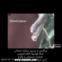 مردی که بارها در مقابل دیدگان مردم افعی او را میگزد اما سم اثری در وی ندارد !