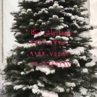 مخمل پاش 02156646297