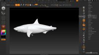 Learn zbrush tutorial pdf step by step
