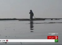 مهاجرت پرندگان به تالاب شادگان ایران