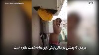 مردی که بدنش مقاومت بالا در برابر نیش زنبور دارد