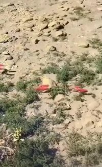 آب زلال باعث خطای دید میشه!