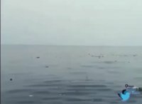 تصاویر از محل سقوط بوئینگ737 لایِن ایر در دریا