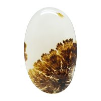 نگین عقیق شجر قائنات برگ سوزنی بی نظیر کد N92