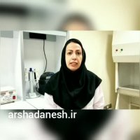 طراحی پرایمر چیست