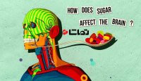 چگونه قند بر مغز تاثیر می گذارد؟