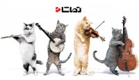 آیا حیوانات موسیقی را دوست دارند؟