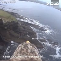 پرواز از نگاه عقاب