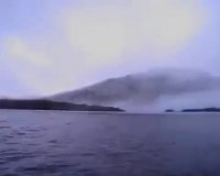 پرواز زیبای هزاران پرنده