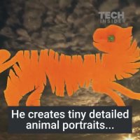 تبدیل پوست پرتقال به حیوان!