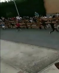 نجات معجزه آسا از دست گاو