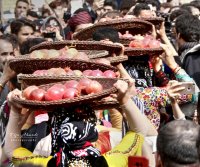 جشنواره انار در کرستان