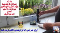 آلرژی فصل بهار را با این نوشیدنی خانگی درمان کنید