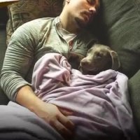 سگ های مبتلا به مگاازوفاگوس