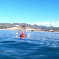 بلعیدن زن قایقران توسط وال !