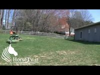 باشگاه سوارکاری بسیار زیبای خارجی