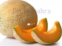 فواید خوردن خربزه برای بدن