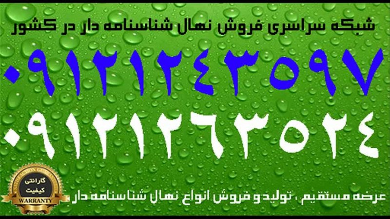 نهال گردو چندلر دیرگل پیوندی زودبازده اصلاح شده پاکوتاه 09121243597