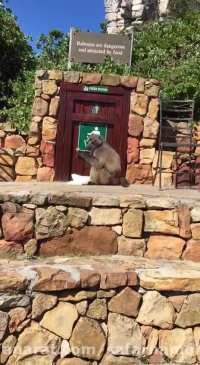 ویدئو ارسالی 4 از تور آفریقای جنوبی 5 مهر -سفرنامه