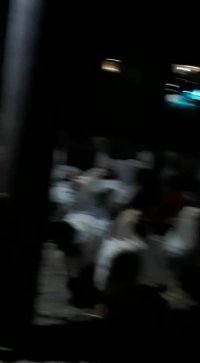 فروش مرغ بومی گلپایگانی