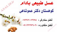 عسل طبیعی بادام کوهی عسل کوهستان عموشاهی