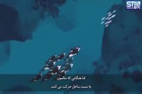 نهنگ های قاتل ترسناک یا ترسو