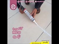 آشنایی با MS 30 زتکس