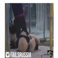 پانداهای بازیگوش