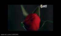 مولودی شب ستاره...-محمود کریمی