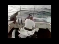 بدشانس‌ترین‌های 2016