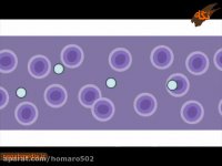 سلول های بنیادی