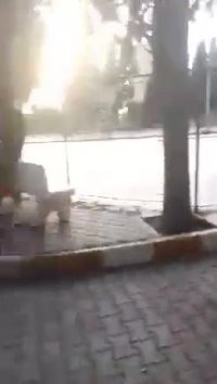 مادران آینده مملکت