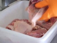 دستگاه قطعه بندی مرغ