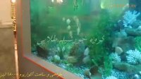 ساخت آکواریوم  استخر شیشه ای  نصب شیشه استخر و جکوزی