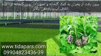 بحران آب و لزوم کشت های گلخانه ای