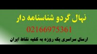 نهال درخت گردو شیلی 09120398416