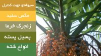 قوی ترین حشره کش سیستمیک برای انواع مزارع | سیوانتو