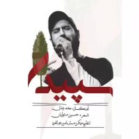 آهنگ جدید حامد زمانی سپیدار