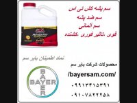 قویترین سم پشه کش خارجی بدون بو و موثر