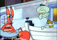 باب اسفنجی جدید